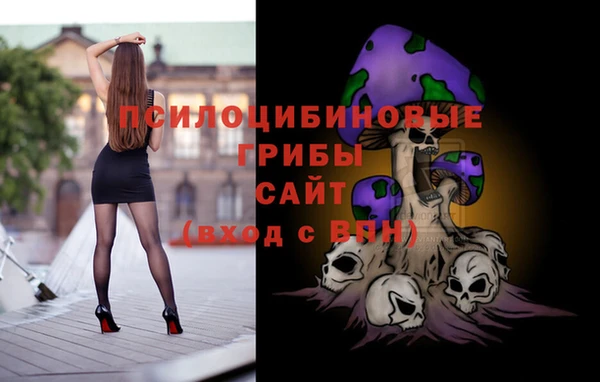 mix Няндома