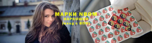 твердый Новодвинск