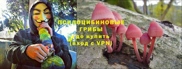 твердый Новодвинск