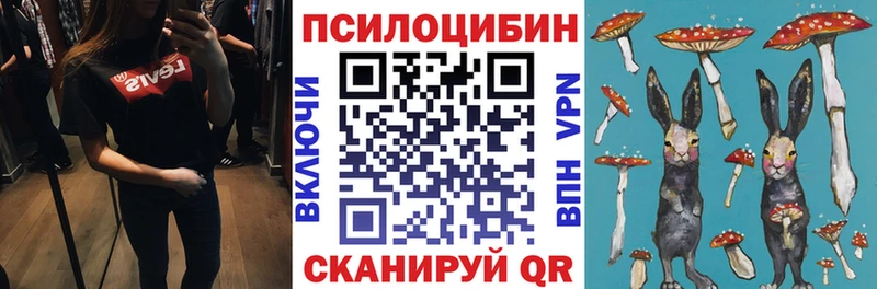 Псилоцибиновые грибы мухоморы  наркота  Тетюши 